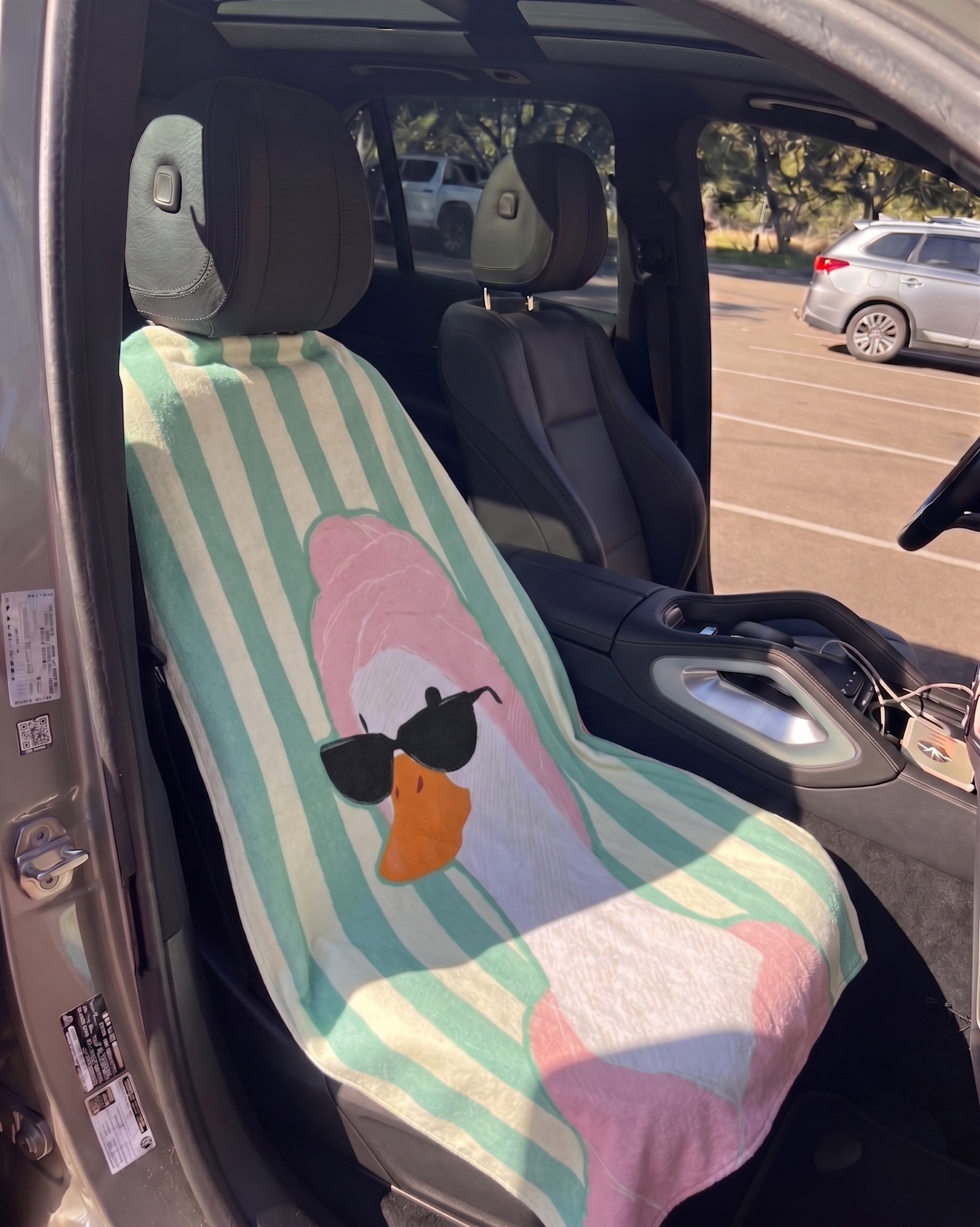 Sunny Duck